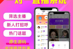 一对一视频直播平台,互动新纪元，连接你我